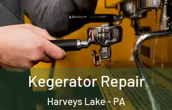  Kegerator Repair Harveys Lake - PA