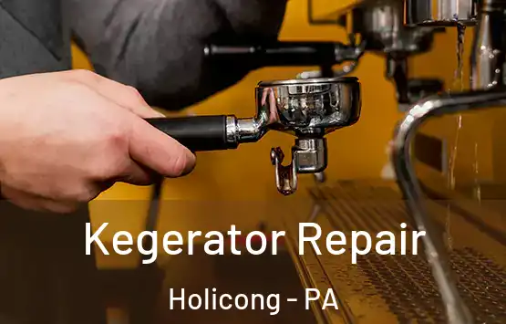  Kegerator Repair Holicong - PA