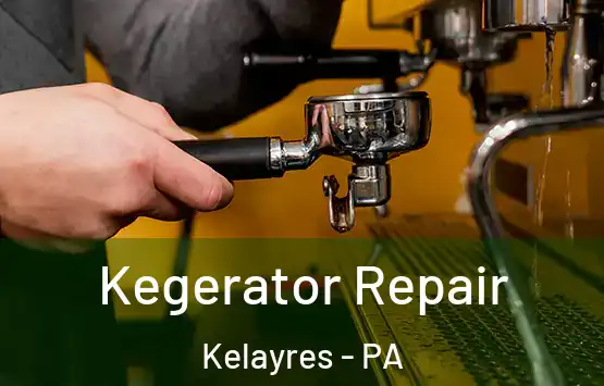  Kegerator Repair Kelayres - PA