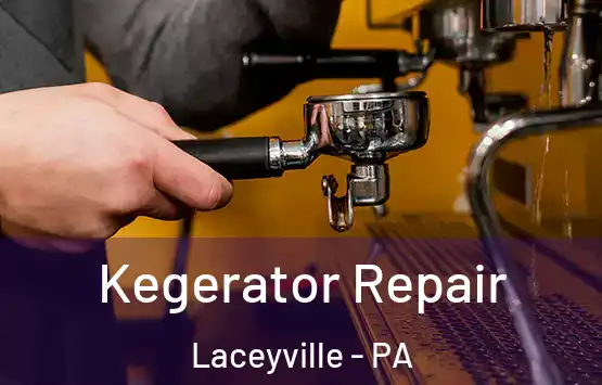  Kegerator Repair Laceyville - PA