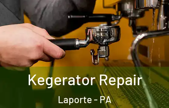  Kegerator Repair Laporte - PA
