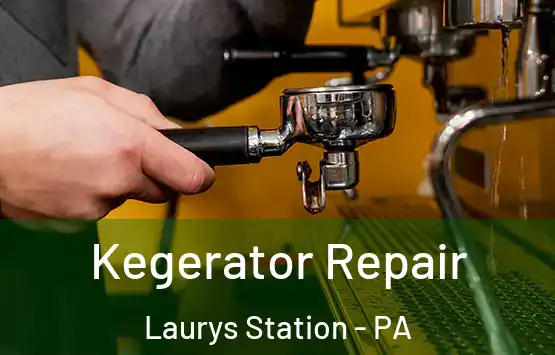  Kegerator Repair Laurys Station - PA