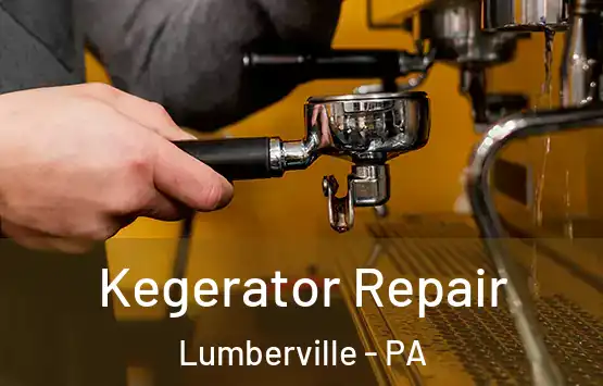  Kegerator Repair Lumberville - PA
