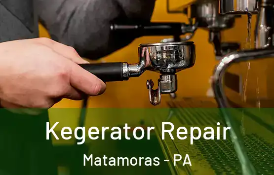  Kegerator Repair Matamoras - PA