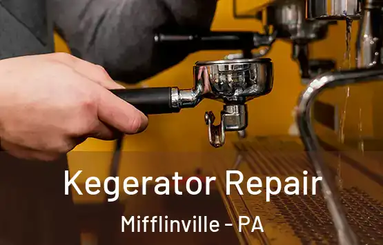  Kegerator Repair Mifflinville - PA