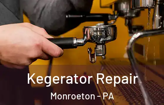  Kegerator Repair Monroeton - PA