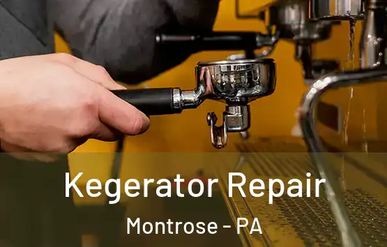  Kegerator Repair Montrose - PA