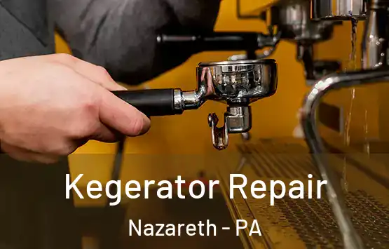  Kegerator Repair Nazareth - PA