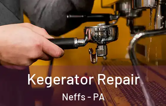  Kegerator Repair Neffs - PA