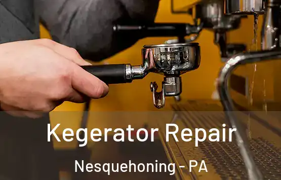  Kegerator Repair Nesquehoning - PA