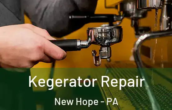  Kegerator Repair New Hope - PA