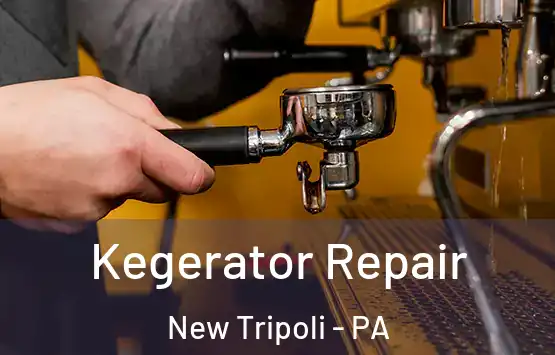  Kegerator Repair New Tripoli - PA