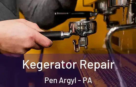  Kegerator Repair Pen Argyl - PA