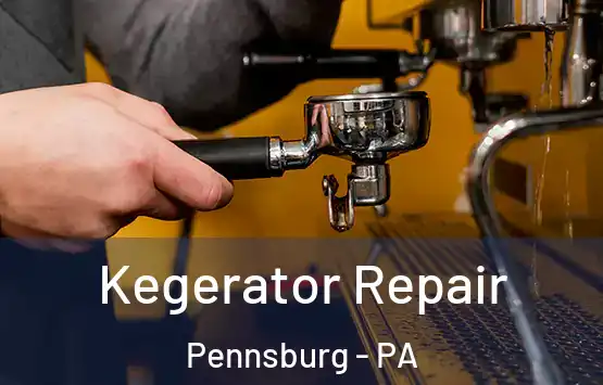  Kegerator Repair Pennsburg - PA