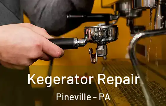  Kegerator Repair Pineville - PA