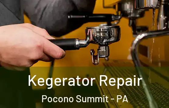  Kegerator Repair Pocono Summit - PA