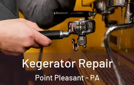  Kegerator Repair Point Pleasant - PA