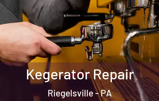  Kegerator Repair Riegelsville - PA