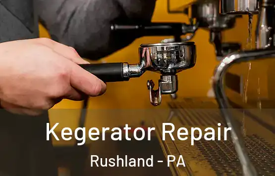  Kegerator Repair Rushland - PA