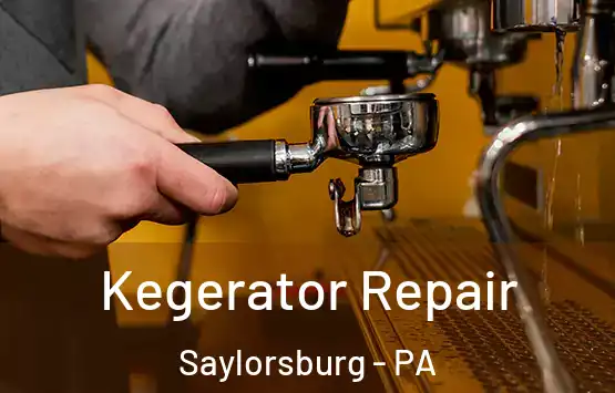  Kegerator Repair Saylorsburg - PA