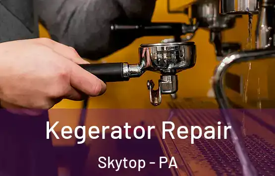  Kegerator Repair Skytop - PA