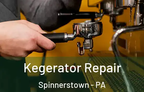  Kegerator Repair Spinnerstown - PA