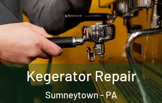  Kegerator Repair Sumneytown - PA
