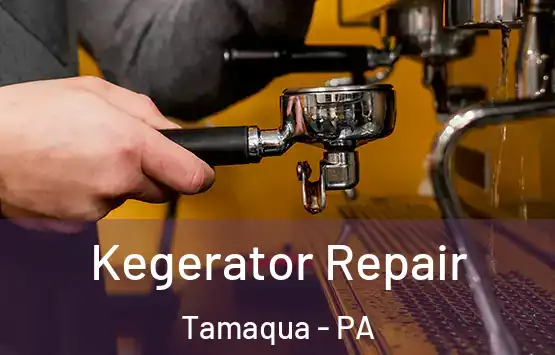  Kegerator Repair Tamaqua - PA