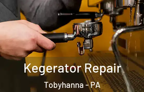  Kegerator Repair Tobyhanna - PA
