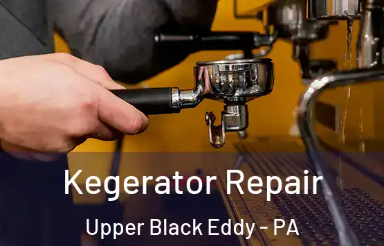  Kegerator Repair Upper Black Eddy - PA