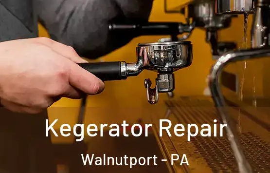  Kegerator Repair Walnutport - PA
