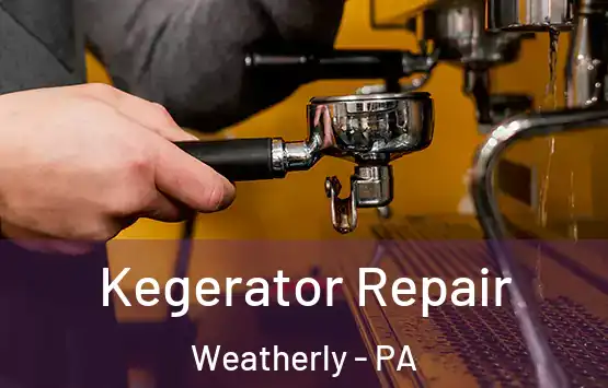  Kegerator Repair Weatherly - PA
