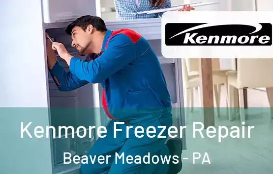  Kenmore Freezer Repair Beaver Meadows - PA