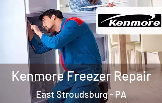  Kenmore Freezer Repair East Stroudsburg - PA
