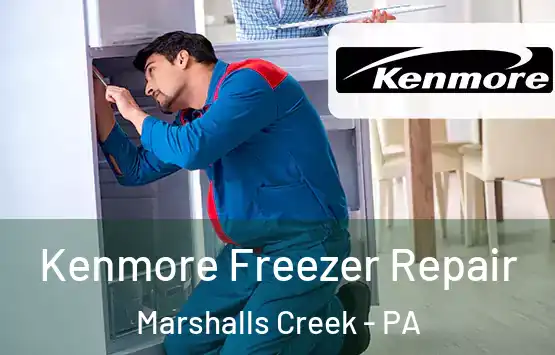  Kenmore Freezer Repair Marshalls Creek - PA
