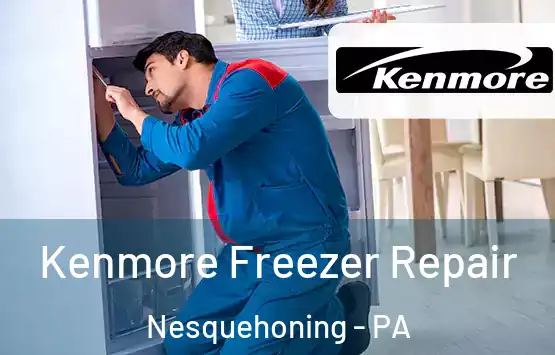  Kenmore Freezer Repair Nesquehoning - PA