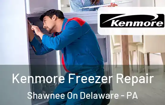  Kenmore Freezer Repair Shawnee On Delaware - PA