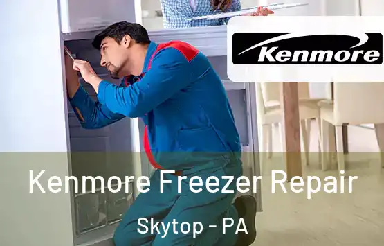  Kenmore Freezer Repair Skytop - PA
