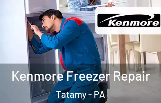  Kenmore Freezer Repair Tatamy - PA