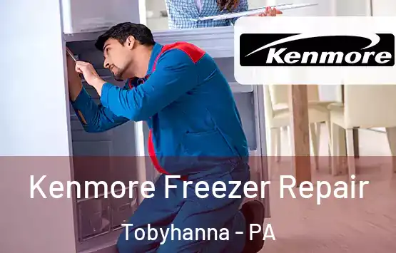  Kenmore Freezer Repair Tobyhanna - PA