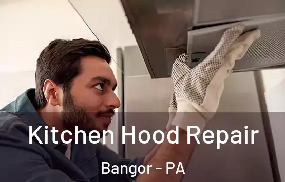  Kitchen Hood Repair Bangor - PA