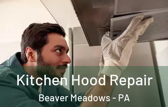  Kitchen Hood Repair Beaver Meadows - PA