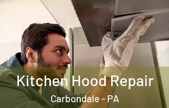  Kitchen Hood Repair Carbondale - PA
