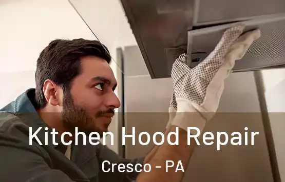  Kitchen Hood Repair Cresco - PA