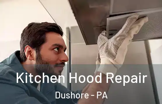  Kitchen Hood Repair Dushore - PA