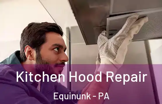  Kitchen Hood Repair Equinunk - PA