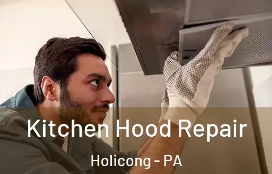  Kitchen Hood Repair Holicong - PA