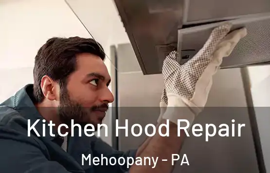  Kitchen Hood Repair Mehoopany - PA