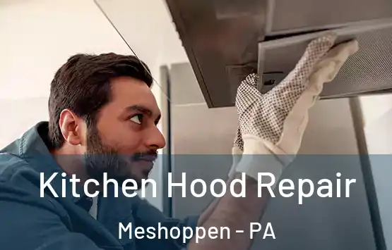  Kitchen Hood Repair Meshoppen - PA