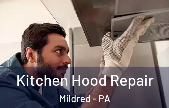  Kitchen Hood Repair Mildred - PA